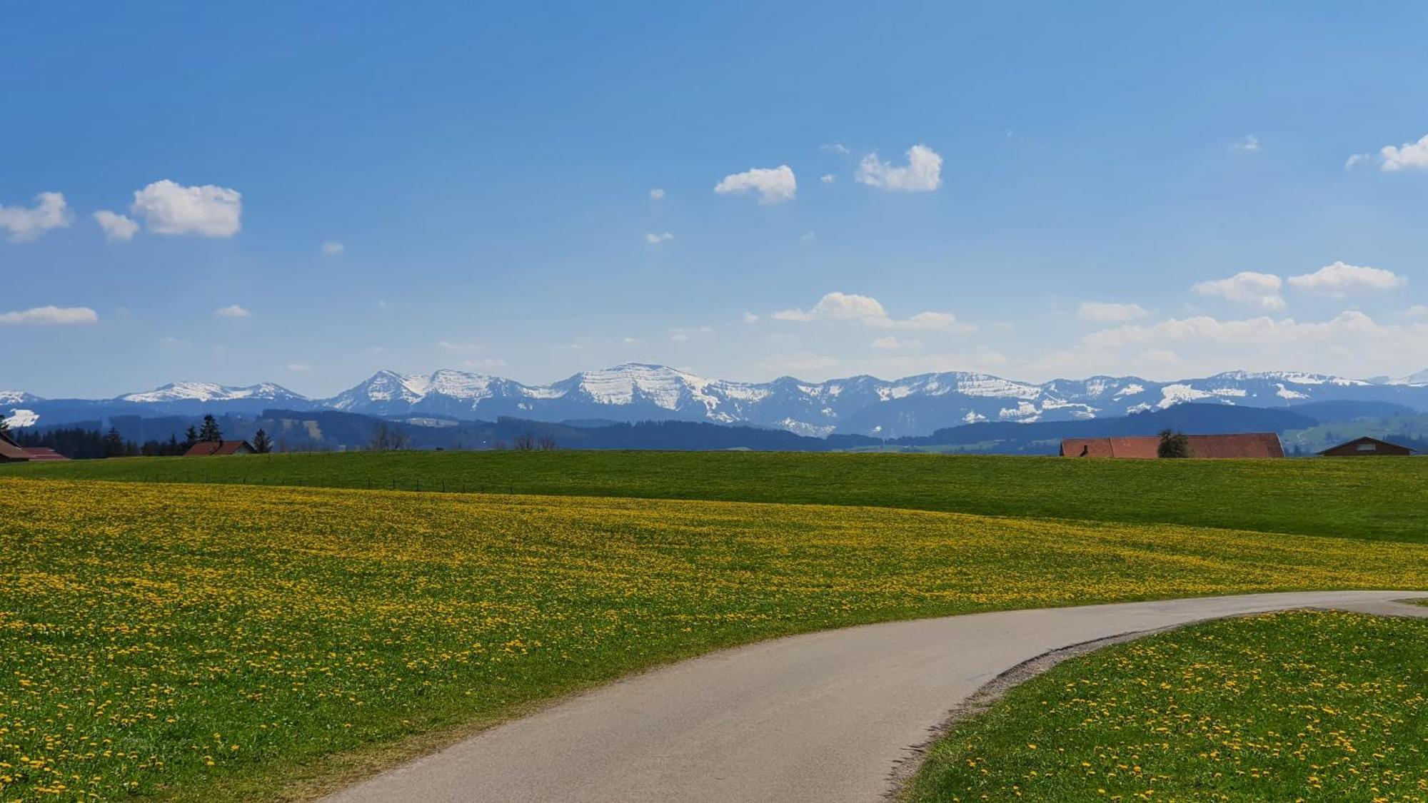 Allgaeu-Glueck Gruenenbach Grunenbach Экстерьер фото